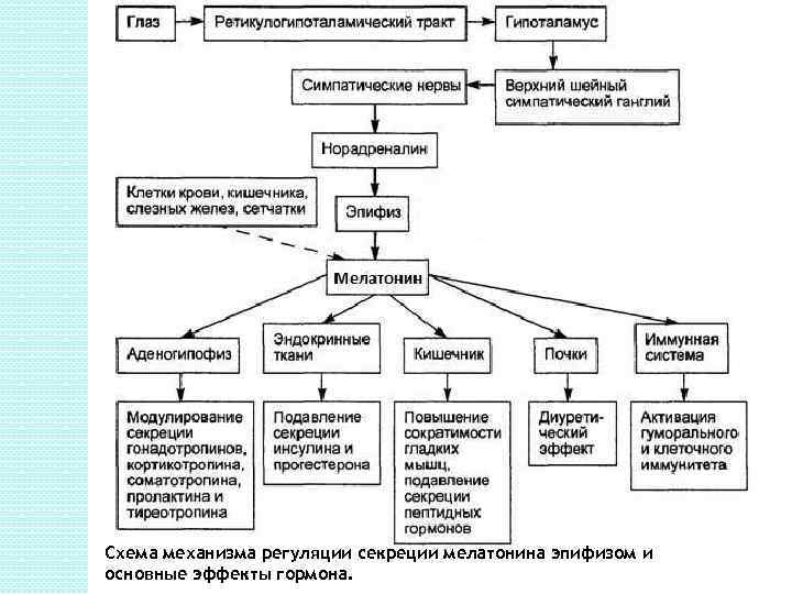 Структура отечественной науки