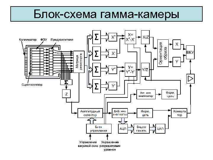 Блок-схема гамма-камеры 