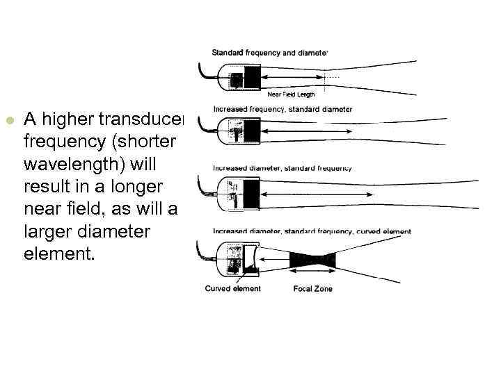 l A higher transducer frequency (shorter wavelength) will result in a longer near field,