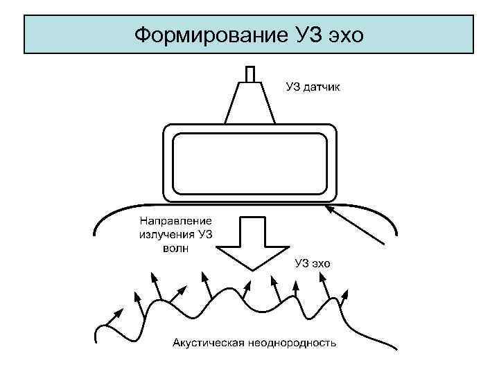 Формирование УЗ эхо 