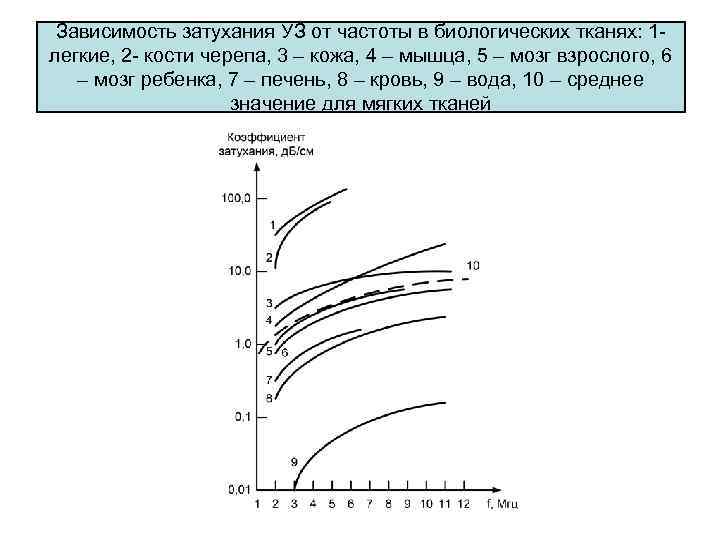 Зависимость затухания УЗ от частоты в биологических тканях: 1 легкие, 2 кости черепа, 3