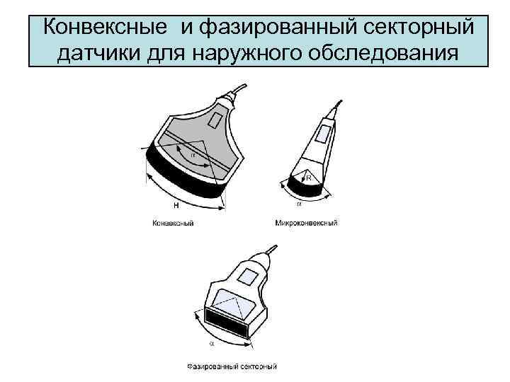 Конвексные и фазированный секторный датчики для наружного обследования 