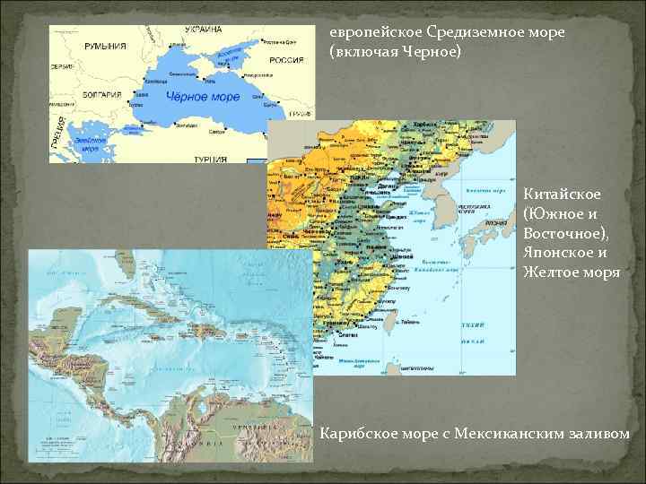 европейское Средиземное море (включая Черное) Китайское (Южное и Восточное), Японское и Желтое моря Карибское