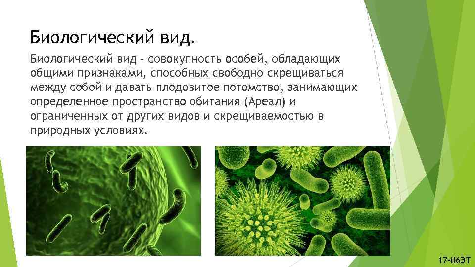 Биологический вид – совокупность особей, обладающих общими признаками, способных свободно скрещиваться между собой и