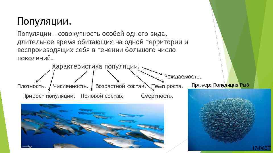 Популяции – совокупность особей одного вида, длительное время обитающих на одной территории и воспроизводящих