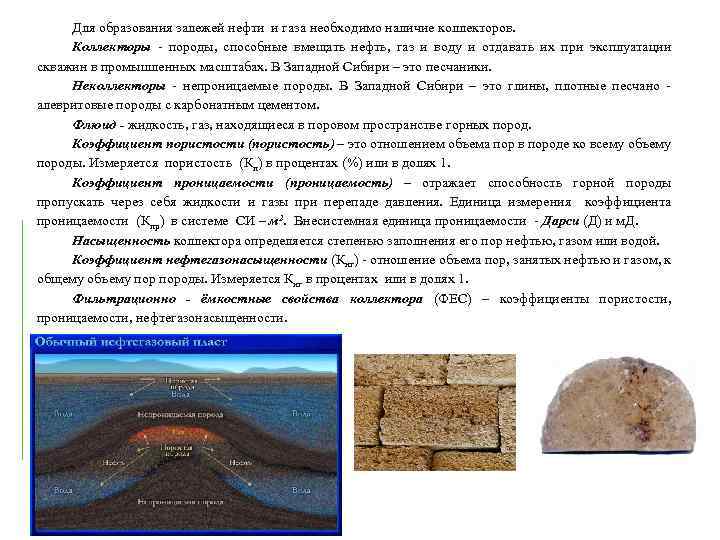 Условия образования какого типа горных пород определяются по их текстуре