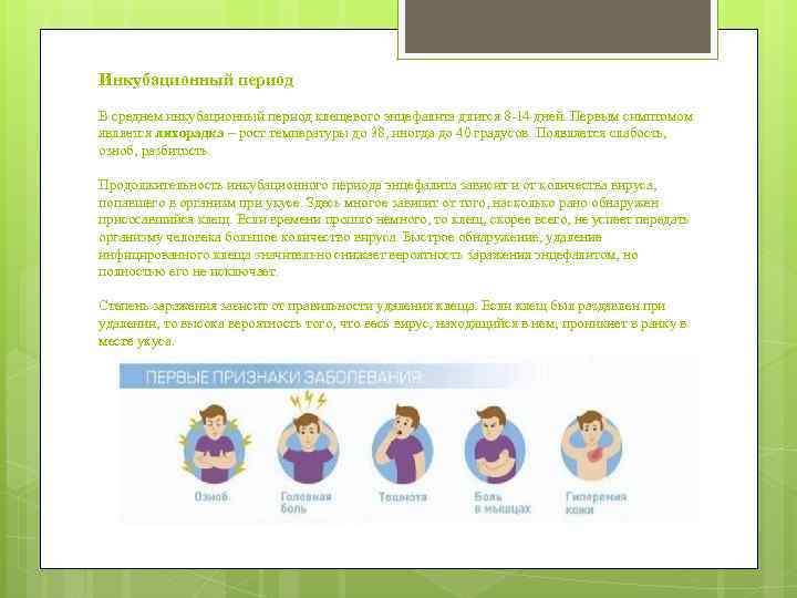 Инкубационный период В среднем инкубационный период клещевого энцефалита длится 8 -14 дней. Первым симптомом