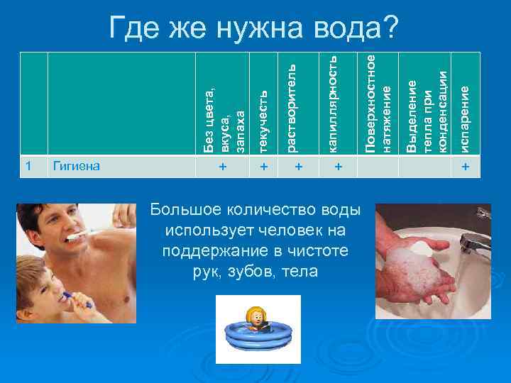 Без цвета, вкуса, запаха 1 Гигиена + + Большое количество воды использует человек на