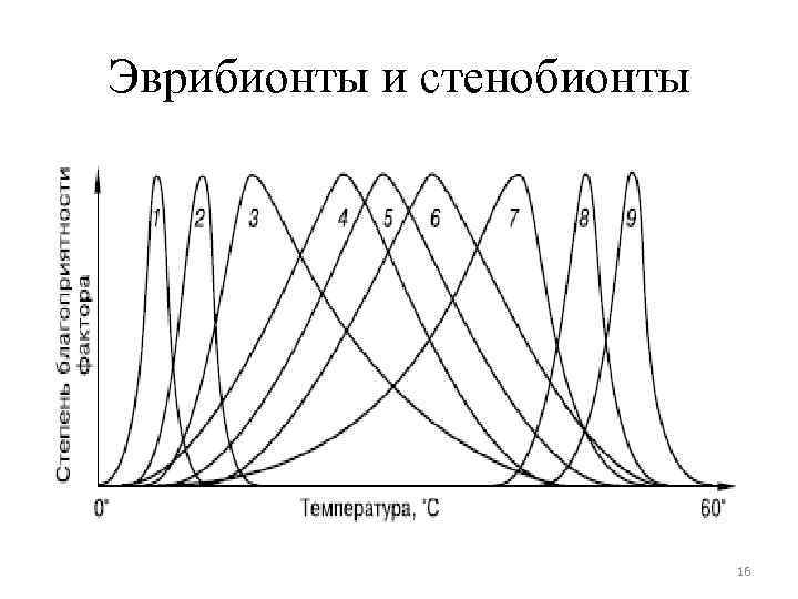 Эврибионты и стенобионты 16 