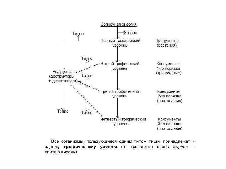 Все организмы, пользующиеся одним типом пищи, принадлежат к одному трофическому уровню (от греческого слова