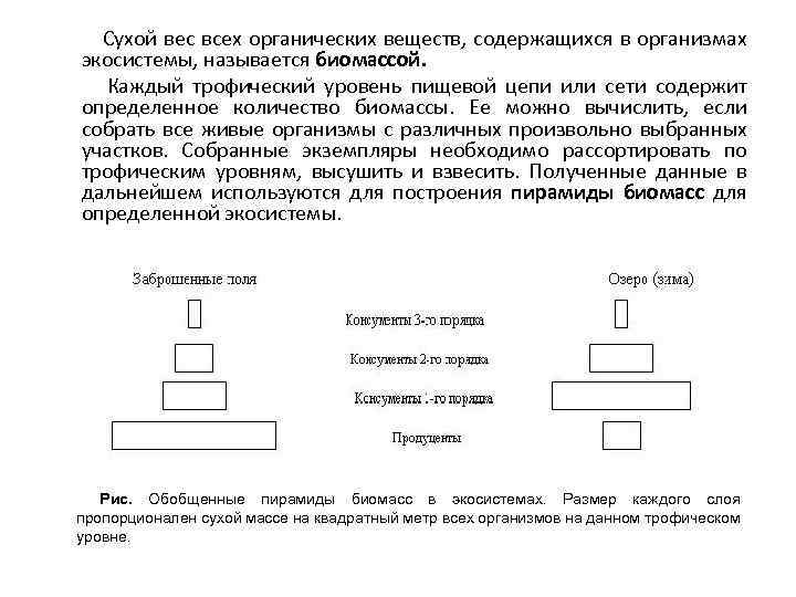 Сухой вес всех органических веществ, содержащихся в организмах экосистемы, называется биомассой. Каждый трофический уровень