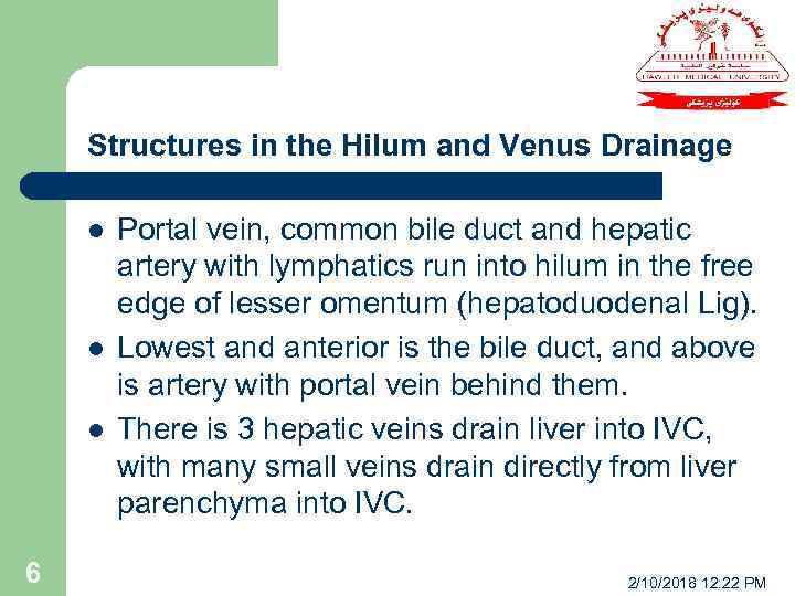 Structures in the Hilum and Venus Drainage l l l 6 Portal vein, common