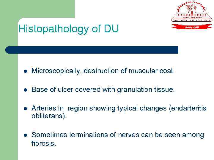 Histopathology of DU l Microscopically, destruction of muscular coat. l Base of ulcer covered