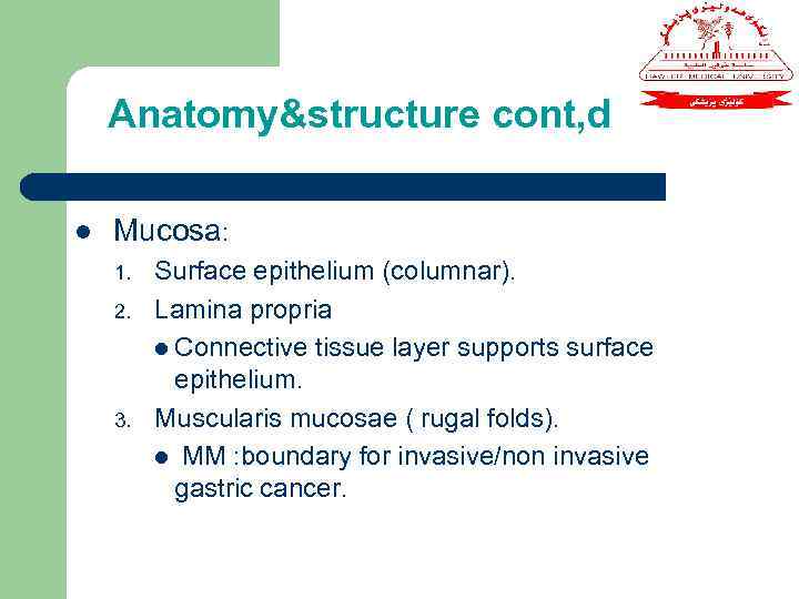 Anatomy&structure cont, d l Mucosa: 1. 2. 3. Surface epithelium (columnar). Lamina propria l