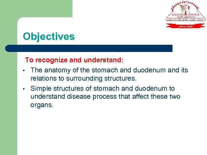 Objectives To recognize and understand: • The anatomy of the stomach and duodenum and