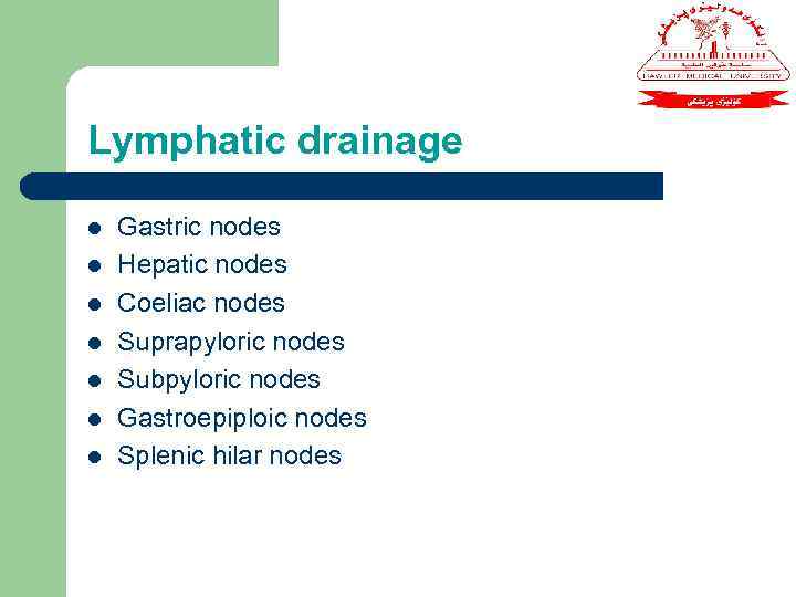 Lymphatic drainage l l l l Gastric nodes Hepatic nodes Coeliac nodes Suprapyloric nodes