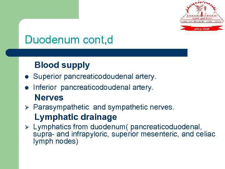 Duodenum cont, d Blood supply l l Superior pancreaticodoudenal artery. Inferior pancreaticodoudenal artery. Nerves