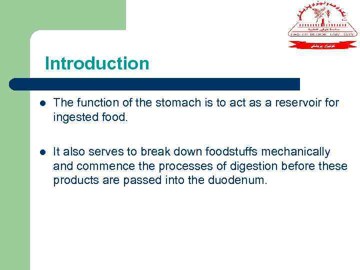 Introduction l The function of the stomach is to act as a reservoir for