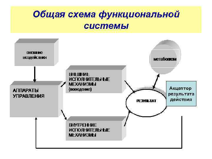 Общая схема функциональной системы Акцептор результата действия 