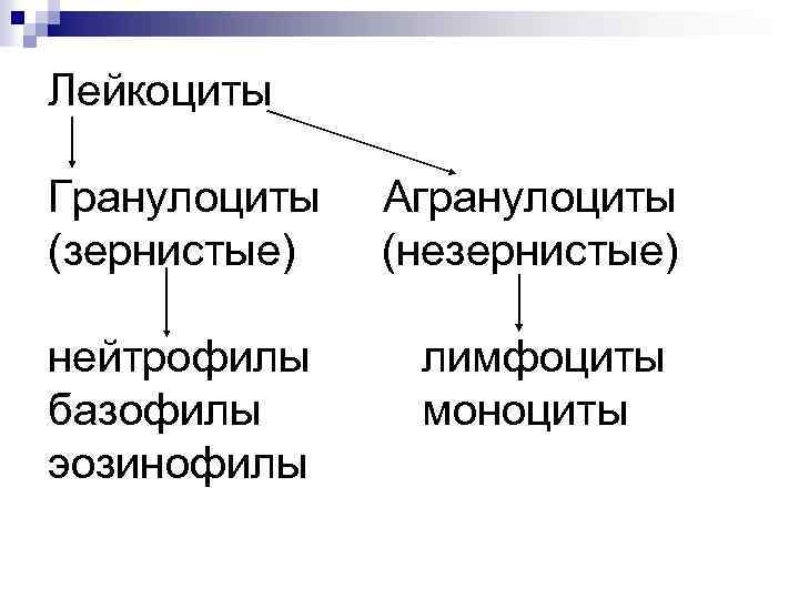 Лейкоциты Гранулоциты (зернистые) Агранулоциты (незернистые) нейтрофилы базофилы эозинофилы лимфоциты моноциты 