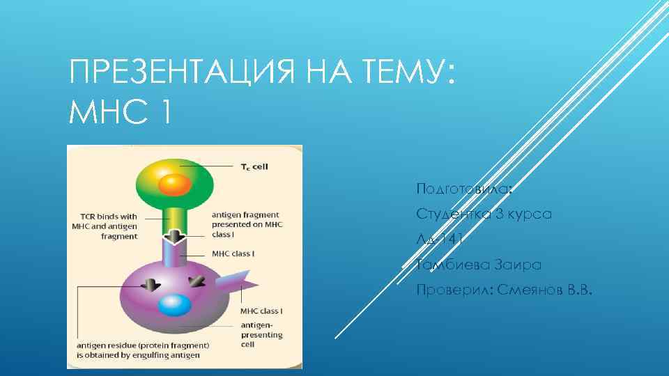 ПРЕЗЕНТАЦИЯ НА ТЕМУ: МНС 1 Подготовила: Студентка 3 курса Лд-141 Тамбиева Заира Проверил: Смеянов