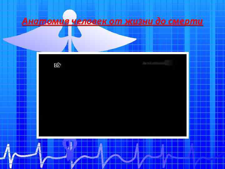 Анатомия человек от жизни до смерти 