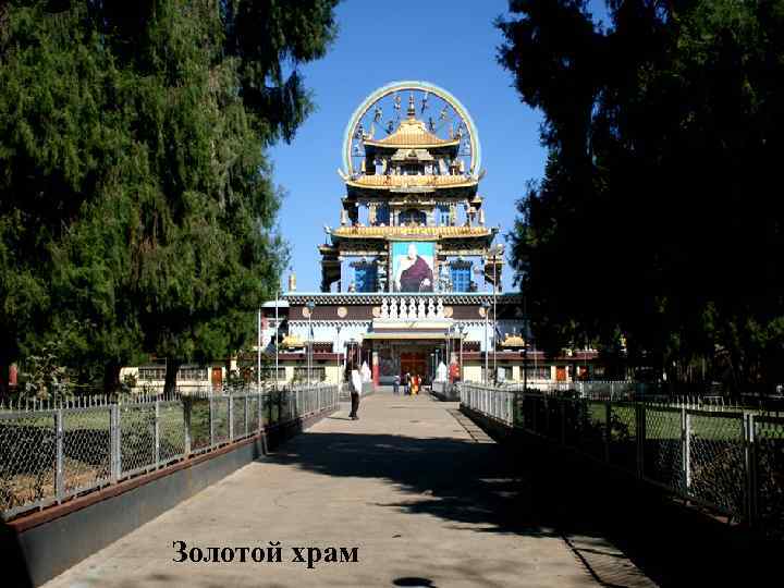 Золотой храм 