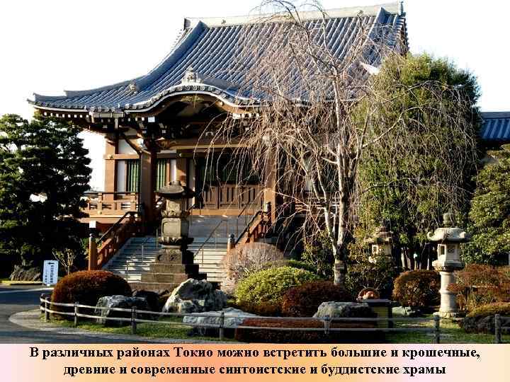 В различных районах Токио можно встретить большие и крошечные, древние и современные синтоистские и