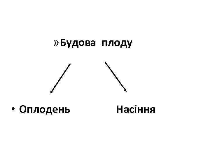 » Будова плоду • Оплодень Насіння 