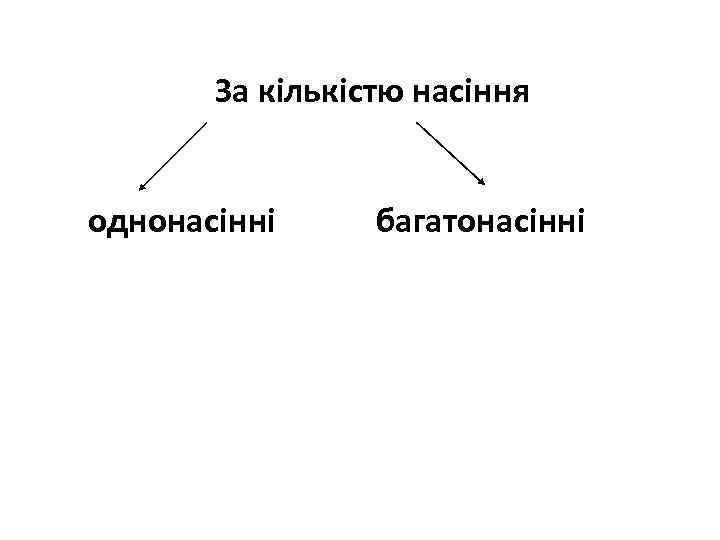 За кількістю насіння однонасінні багатонасінні 