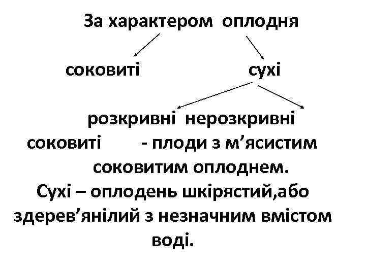 За характером оплодня соковиті сухі розкривні нерозкривні соковиті - плоди з м’ясистим соковитим оплоднем.