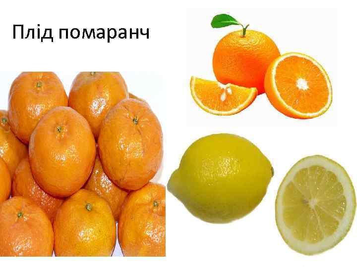 Плід помаранч 