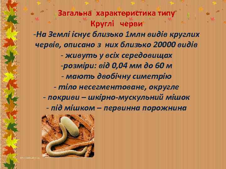 Загальна характеристика типу Круглі черви -На Землі існує близько 1 млн видів круглих червів,