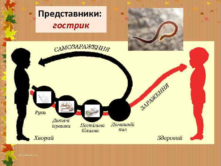 Представники: гострик 