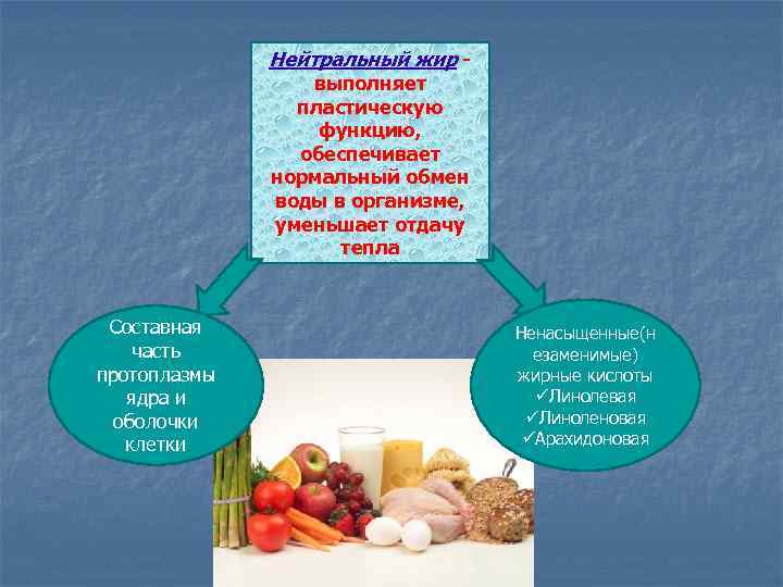 Нейтральный жир выполняет пластическую функцию, обеспечивает нормальный обмен воды в организме, уменьшает отдачу тепла