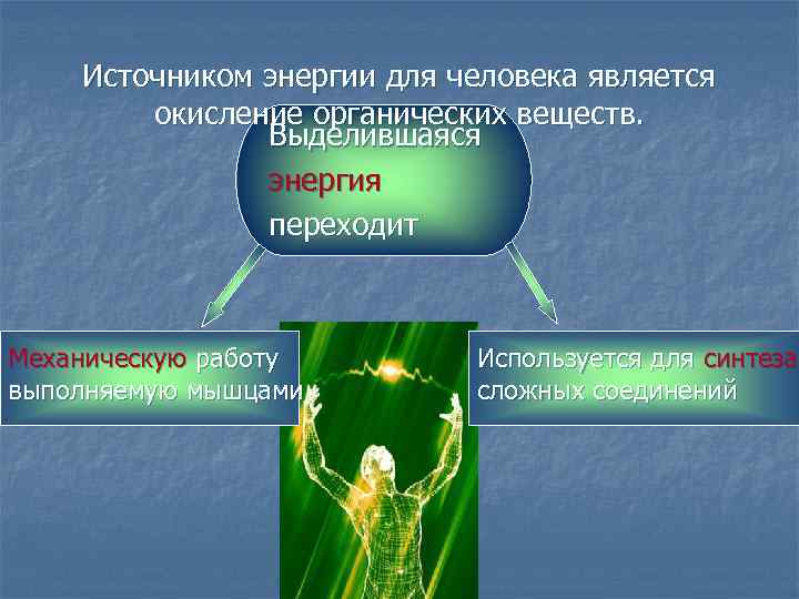 Источником энергии для человека является окисление органических веществ. Выделившаяся энергия переходит Механическую работу выполняемую