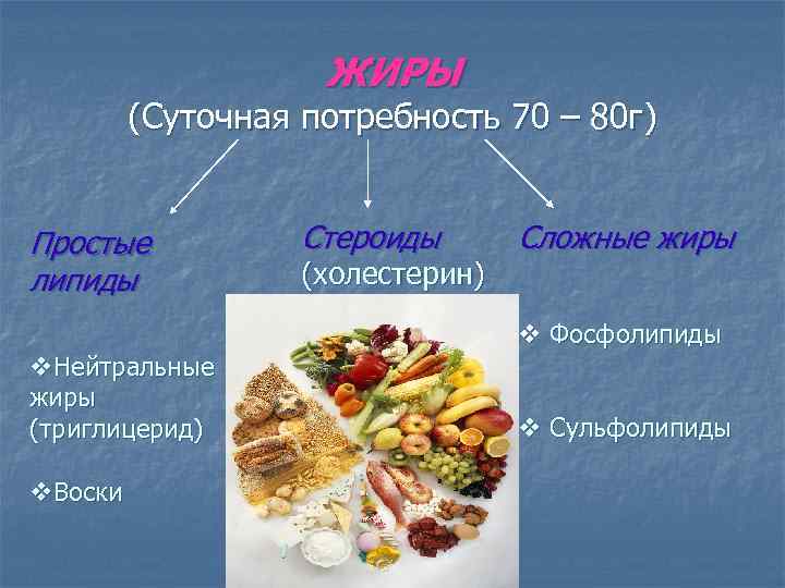 ЖИРЫ (Суточная потребность 70 – 80 г) Простые липиды v. Нейтральные жиры (триглицерид) v.