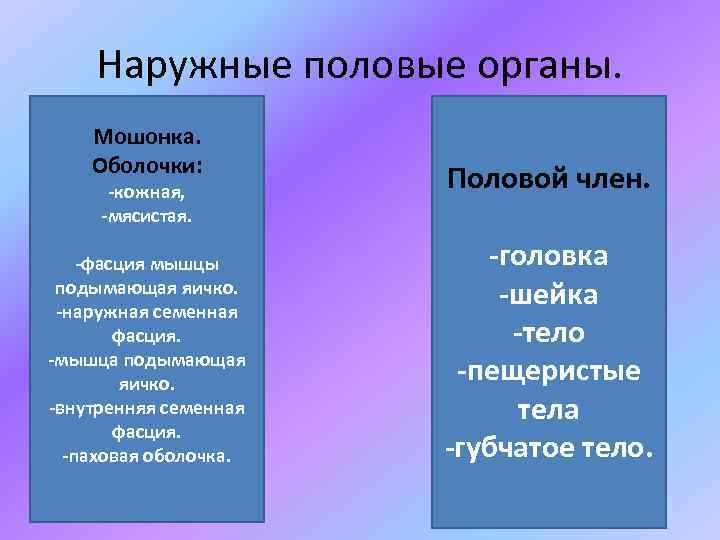 Наружные половые органы. Мошонка. Оболочки: -кожная, -мясистая. -фасция мышцы подымающая яичко. -наружная семенная фасция.