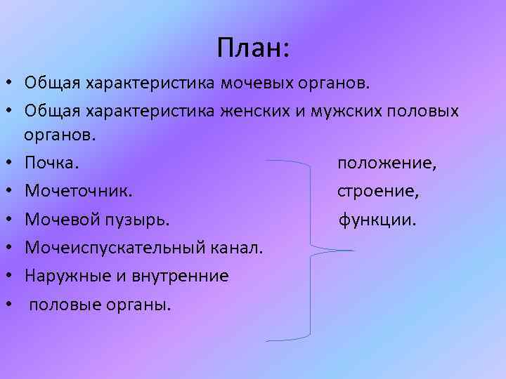 План: • Общая характеристика мочевых органов. • Общая характеристика женских и мужских половых органов.