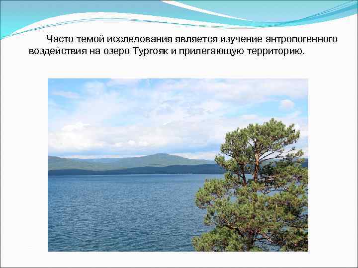 Часто темой исследования является изучение антропогенного воздействия на озеро Тургояк и прилегающую территорию. 