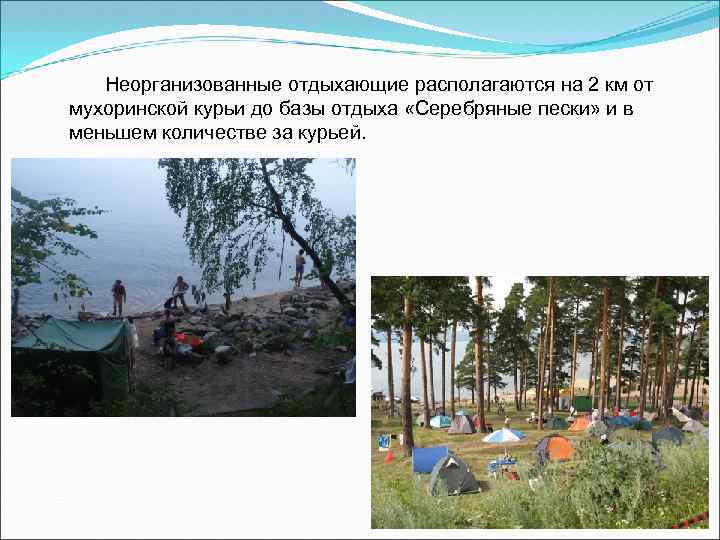 Неорганизованные отдыхающие располагаются на 2 км от мухоринской курьи до базы отдыха «Серебряные пески»