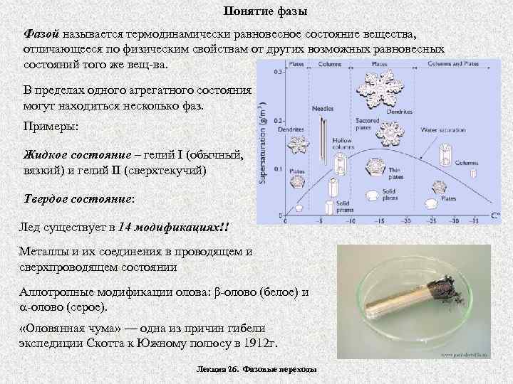 4 фаза трикки как называется