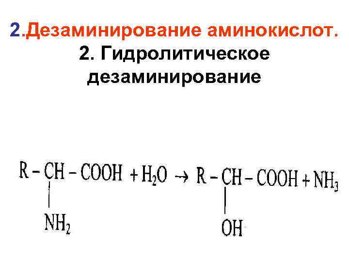 При гидролитическом дезаминировании альфа аминокислот образуется