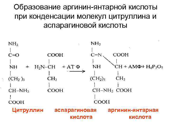 Цитруллин и аланин вместе