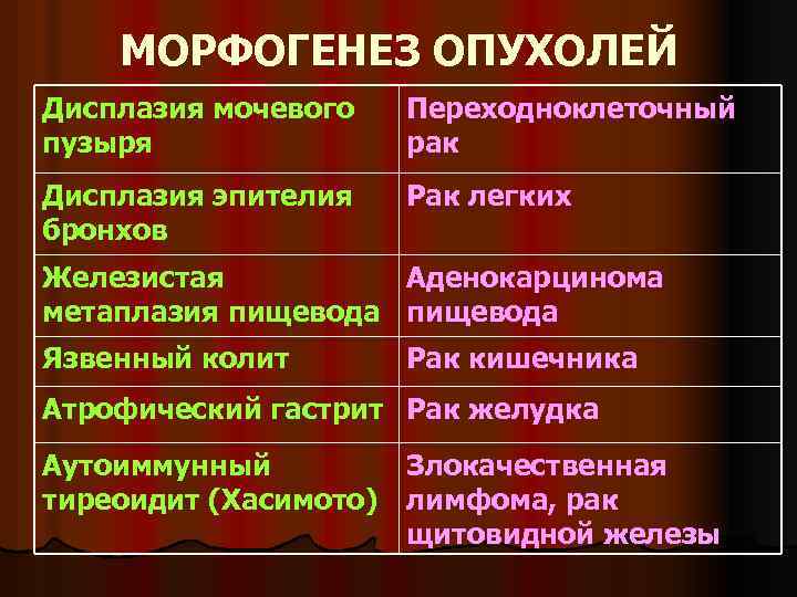 МОРФОГЕНЕЗ ОПУХОЛЕЙ Дисплазия мочевого пузыря Переходноклеточный рак Дисплазия эпителия бронхов Рак легких Железистая метаплазия