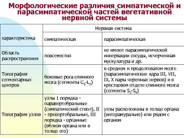 Морфологические различия симпатической и парасимпатической частей вегетативной нервной системы Нервная система характеристика Область распространения