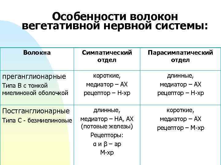 Особенности волокон вегетативной нервной системы: Волокна преганглионарные Типа В с тонкой миелиновой оболочкой Постганглионарные