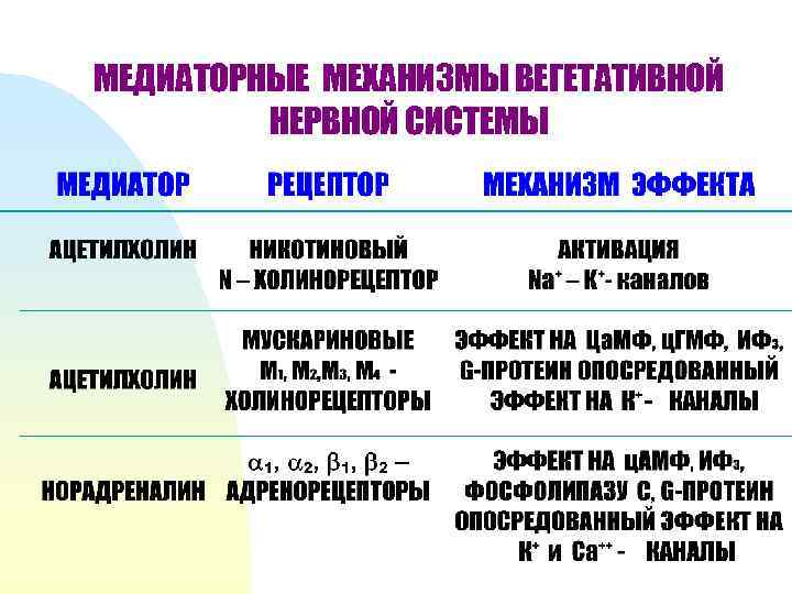 МЕДИАТОРНЫЕ МЕХАНИЗМЫ ВЕГЕТАТИВНОЙ НЕРВНОЙ СИСТЕМЫ 