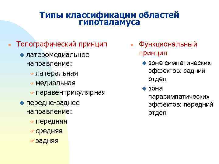 Типы классификации областей гипоталамуса n Топографический принцип u латеромедиальное направление: F латеральная F медиальная