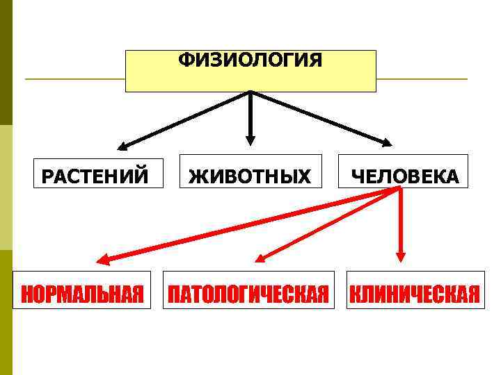 ФИЗИОЛОГИЯ РАСТЕНИЙ НОРМАЛЬНАЯ ЖИВОТНЫХ ЧЕЛОВЕКА ПАТОЛОГИЧЕСКАЯ КЛИНИЧЕСКАЯ 